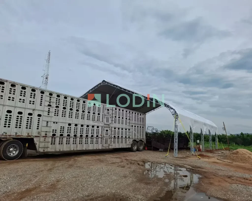 Venta y Renta de Carpas Estructurales, Velarias y Tensoestructuras LODIN